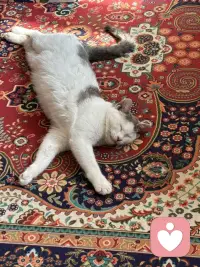 人一定要停止对自己的灾难化的想象，说白了就是不要去回应任何你大脑中的担忧的念头，我们总是为不确定性提前担忧一点，小事总往最坏的方向去想，没发生的事就先把自己吓死，还没开始就预设各种失败，越想越焦虑，最后干脆不敢做，别人随口一句话你就能琢磨好几天，脑补出一整套针对自己的戏码，明明当下什么都没有发生，却总是担心未来会出问题，越想越慌根本停不下来，但是这些担忧90%都不会发生，剩下的10%发生的方式跟你想的也完全不同，所以真的不要提前去担忧。解决灾难化思维，解决那些担忧，只有一个念头来了让他来，他说万一失败怎么办？你听见了，但是不要跟他对话，他说别人是不是对你有意见，你知道他来了，但是不要给他画面，他说未来会不会很糟，你允许他存在，但你不跟着他走念头只是念头，不是事实，大脑只是喜欢编故事，但你不用每一部都追着看，你不回应他，他就没有力量，就像没有人接的话慢慢就停了，没有观众的戏自然就落幕了，试着做一个观察者而不是参与者，但那些担忧的念头冒出来的时候，你就看着他就像看云飘过，你只需要轻轻地说一句，你又来了，然后继续做你手头的事情，慢慢的你就会发现那些曾经让你彻夜难眠的东西，根本经不起你不理他，你不给他注意力，他就能还你清静。配图