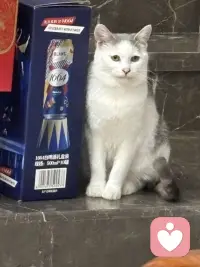 人一定要停止对自己的灾难化的想象，说白了就是不要去回应任何你大脑中的担忧的念头，我们总是为不确定性提前担忧一点，小事总往最坏的方向去想，没发生的事就先把自己吓死，还没开始就预设各种失败，越想越焦虑，最后干脆不敢做，别人随口一句话你就能琢磨好几天，脑补出一整套针对自己的戏码，明明当下什么都没有发生，却总是担心未来会出问题，越想越慌根本停不下来，但是这些担忧90%都不会发生，剩下的10%发生的方式跟你想的也完全不同，所以真的不要提前去担忧。解决灾难化思维，解决那些担忧，只有一个念头来了让他来，他说万一失败怎么办？你听见了，但是不要跟他对话，他说别人是不是对你有意见，你知道他来了，但是不要给他画面，他说未来会不会很糟，你允许他存在，但你不跟着他走念头只是念头，不是事实，大脑只是喜欢编故事，但你不用每一部都追着看，你不回应他，他就没有力量，就像没有人接的话慢慢就停了，没有观众的戏自然就落幕了，试着做一个观察者而不是参与者，但那些担忧的念头冒出来的时候，你就看着他就像看云飘过，你只需要轻轻地说一句，你又来了，然后继续做你手头的事情，慢慢的你就会发现那些曾经让你彻夜难眠的东西，根本经不起你不理他，你不给他注意力，他就能还你清静。配图