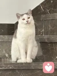 人一定要停止对自己的灾难化的想象，说白了就是不要去回应任何你大脑中的担忧的念头，我们总是为不确定性提前担忧一点，小事总往最坏的方向去想，没发生的事就先把自己吓死，还没开始就预设各种失败，越想越焦虑，最后干脆不敢做，别人随口一句话你就能琢磨好几天，脑补出一整套针对自己的戏码，明明当下什么都没有发生，却总是担心未来会出问题，越想越慌根本停不下来，但是这些担忧90%都不会发生，剩下的10%发生的方式跟你想的也完全不同，所以真的不要提前去担忧。解决灾难化思维，解决那些担忧，只有一个念头来了让他来，他说万一失败怎么办？你听见了，但是不要跟他对话，他说别人是不是对你有意见，你知道他来了，但是不要给他画面，他说未来会不会很糟，你允许他存在，但你不跟着他走念头只是念头，不是事实，大脑只是喜欢编故事，但你不用每一部都追着看，你不回应他，他就没有力量，就像没有人接的话慢慢就停了，没有观众的戏自然就落幕了，试着做一个观察者而不是参与者，但那些担忧的念头冒出来的时候，你就看着他就像看云飘过，你只需要轻轻地说一句，你又来了，然后继续做你手头的事情，慢慢的你就会发现那些曾经让你彻夜难眠的东西，根本经不起你不理他，你不给他注意力，他就能还你清静。配图