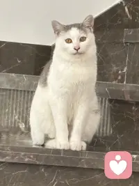 人一定要停止对自己的灾难化的想象，说白了就是不要去回应任何你大脑中的担忧的念头，我们总是为不确定性提前担忧一点，小事总往最坏的方向去想，没发生的事就先把自己吓死，还没开始就预设各种失败，越想越焦虑，最后干脆不敢做，别人随口一句话你就能琢磨好几天，脑补出一整套针对自己的戏码，明明当下什么都没有发生，却总是担心未来会出问题，越想越慌根本停不下来，但是这些担忧90%都不会发生，剩下的10%发生的方式跟你想的也完全不同，所以真的不要提前去担忧。解决灾难化思维，解决那些担忧，只有一个念头来了让他来，他说万一失败怎么办？你听见了，但是不要跟他对话，他说别人是不是对你有意见，你知道他来了，但是不要给他画面，他说未来会不会很糟，你允许他存在，但你不跟着他走念头只是念头，不是事实，大脑只是喜欢编故事，但你不用每一部都追着看，你不回应他，他就没有力量，就像没有人接的话慢慢就停了，没有观众的戏自然就落幕了，试着做一个观察者而不是参与者，但那些担忧的念头冒出来的时候，你就看着他就像看云飘过，你只需要轻轻地说一句，你又来了，然后继续做你手头的事情，慢慢的你就会发现那些曾经让你彻夜难眠的东西，根本经不起你不理他，你不给他注意力，他就能还你清静。配图