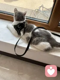 不是那种一受委屈就掀桌子的大女主，而是那种明明被伤透了心，但是为了孩子为了顾全大局，选择咽下所有的委屈，忍着恶心继续把日子过下去，这样的女人我是非常敬佩的，很多人会瞧不起这种女人，觉得觉得这种女人窝囊，没有骨气，拿着孩子当借口，甚至觉得丢女人的脸，其实我想说这不是她的软弱，恰恰相反，这种女人才是真正的狠人，她还留在婚姻里面苟活着，不是她不敢离，也不是她没人要，而是她的骨子里面的三观和教养让她没有办。法丢下自己肩膀上的责任，他看着孩子还小，父母好像又老了，他知道如果自己意气用事，一走了之，自己是痛快了，但是孩子的后半辈子可能就毁了，家也就散了，因为孩子除了妈妈没有其他的依靠，这就是母亲她宁愿自己受苦，她也舍不得孩子受苦，其实在千疮百孔的婚姻当中，他能够心平气和的和自私鬼然后去沟通，带着微笑给孩子去做饭，你说他对自己狠不狠？他今天的隐忍也不是认命，而是为了卯足实力等！等待将来以牙还牙。配图