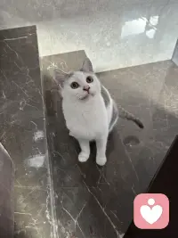 不是那种一受委屈就掀桌子的大女主，而是那种明明被伤透了心，但是为了孩子为了顾全大局，选择咽下所有的委屈，忍着恶心继续把日子过下去，这样的女人我是非常敬佩的，很多人会瞧不起这种女人，觉得觉得这种女人窝囊，没有骨气，拿着孩子当借口，甚至觉得丢女人的脸，其实我想说这不是她的软弱，恰恰相反，这种女人才是真正的狠人，她还留在婚姻里面苟活着，不是她不敢离，也不是她没人要，而是她的骨子里面的三观和教养让她没有办。法丢下自己肩膀上的责任，他看着孩子还小，父母好像又老了，他知道如果自己意气用事，一走了之，自己是痛快了，但是孩子的后半辈子可能就毁了，家也就散了，因为孩子除了妈妈没有其他的依靠，这就是母亲她宁愿自己受苦，她也舍不得孩子受苦，其实在千疮百孔的婚姻当中，他能够心平气和的和自私鬼然后去沟通，带着微笑给孩子去做饭，你说他对自己狠不狠？他今天的隐忍也不是认命，而是为了卯足实力等！等待将来以牙还牙。配图