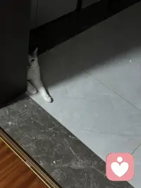 不是那种一受委屈就掀桌子的大女主，而是那种明明被伤透了心，但是为了孩子为了顾全大局，选择咽下所有的委屈，忍着恶心继续把日子过下去，这样的女人我是非常敬佩的，很多人会瞧不起这种女人，觉得觉得这种女人窝囊，没有骨气，拿着孩子当借口，甚至觉得丢女人的脸，其实我想说这不是她的软弱，恰恰相反，这种女人才是真正的狠人，她还留在婚姻里面苟活着，不是她不敢离，也不是她没人要，而是她的骨子里面的三观和教养让她没有办。法丢下自己肩膀上的责任，他看着孩子还小，父母好像又老了，他知道如果自己意气用事，一走了之，自己是痛快了，但是孩子的后半辈子可能就毁了，家也就散了，因为孩子除了妈妈没有其他的依靠，这就是母亲她宁愿自己受苦，她也舍不得孩子受苦，其实在千疮百孔的婚姻当中，他能够心平气和的和自私鬼然后去沟通，带着微笑给孩子去做饭，你说他对自己狠不狠？他今天的隐忍也不是认命，而是为了卯足实力等！等待将来以牙还牙。配图