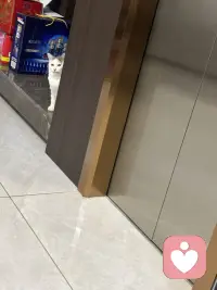 真正的爱是什么？爱是看见你而不评判你，爱是如你所是，而不是如我所愿，爱是不含诱惑的深情，没有敌意的坚决。爱通常会制造健康的分离，而不是制造忠诚。配图