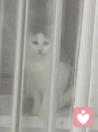 真正的爱是什么？爱是看见你而不评判你，爱是如你所是，而不是如我所愿，爱是不含诱惑的深情，没有敌意的坚决。爱通常会制造健康的分离，而不是制造忠诚。配图