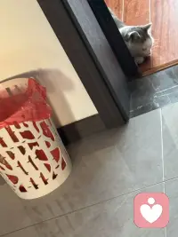 我看到过最强大的心理暗示：就4句话分享给朋友。我的人生没有失败，因为我要么成功，要么成长；我的人生没有敌人，全是老师，所以我要么是得到，要么是学到；我的人生也没有白走的路，对的就庆祝，错的就进步；我就是不会被任何人任何事情所困扰；我允许一切发生，因为一切发生也终将有利于我。配图