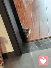 我看到过最强大的心理暗示：就4句话分享给朋友。我的人生没有失败，因为我要么成功，要么成长；我的人生没有敌人，全是老师，所以我要么是得到，要么是学到；我的人生也没有白走的路，对的就庆祝，错的就进步；我就是不会被任何人任何事情所困扰；我允许一切发生，因为一切发生也终将有利于我。配图