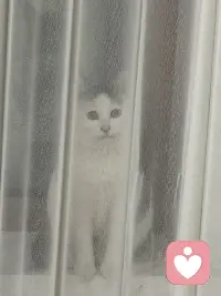 童年眼里得到的爱是一个人一生抵抗风雨的底气，它会让人在面对生活的风浪时，依然保有内心的稳定和向前走的勇气。当一个孩子面对委屈慌乱无助的时候，他需要的不是纠正，不是认错，而是有人能站在他这一边陪他一起面对，让他知道我是被看见的，被理解的，也是被支持的。很多时候我们穷尽一生想要找回的，不过就是小时候曾经拥有过或者从未真正拥有过的那种感觉，当我脆弱的时候有人不会推开我，当我难过的时候有人能够接住我，当我不知所措的时候，有人让我相信，我不需要独自面对这一切，幸福的童年往往真的可以治愈一生，在未来的漫长岁月中慢慢长成一个人内心深处的力量，能够去抵挡成长路上的艰难险阻。配图