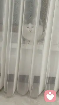 童年眼里得到的爱是一个人一生抵抗风雨的底气，它会让人在面对生活的风浪时，依然保有内心的稳定和向前走的勇气。当一个孩子面对委屈慌乱无助的时候，他需要的不是纠正，不是认错，而是有人能站在他这一边陪他一起面对，让他知道我是被看见的，被理解的，也是被支持的。很多时候我们穷尽一生想要找回的，不过就是小时候曾经拥有过或者从未真正拥有过的那种感觉，当我脆弱的时候有人不会推开我，当我难过的时候有人能够接住我，当我不知所措的时候，有人让我相信，我不需要独自面对这一切，幸福的童年往往真的可以治愈一生，在未来的漫长岁月中慢慢长成一个人内心深处的力量，能够去抵挡成长路上的艰难险阻。配图