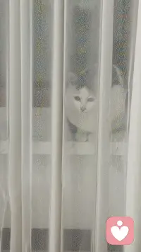 童年眼里得到的爱是一个人一生抵抗风雨的底气，它会让人在面对生活的风浪时，依然保有内心的稳定和向前走的勇气。当一个孩子面对委屈慌乱无助的时候，他需要的不是纠正，不是认错，而是有人能站在他这一边陪他一起面对，让他知道我是被看见的，被理解的，也是被支持的。很多时候我们穷尽一生想要找回的，不过就是小时候曾经拥有过或者从未真正拥有过的那种感觉，当我脆弱的时候有人不会推开我，当我难过的时候有人能够接住我，当我不知所措的时候，有人让我相信，我不需要独自面对这一切，幸福的童年往往真的可以治愈一生，在未来的漫长岁月中慢慢长成一个人内心深处的力量，能够去抵挡成长路上的艰难险阻。配图