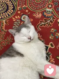 年轻人要知道：极致自律才有极致自由，泡夜店、纹身、买醉、网购、打游戏，这些事你想做80岁也能干，什么才是真正正确的？读书、赚钱、学习早睡早起，孝敬父母，用一颗炙热的心去爱人爱己，用自己的终生努力去挑战一个又一个的科技高峰，这样的事情才是真正酷的事情！