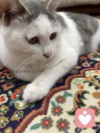 年轻人要知道：极致自律才有极致自由，泡夜店、纹身、买醉、网购、打游戏，这些事你想做80岁也能干，什么才是真正正确的？读书、赚钱、学习早睡早起，孝敬父母，用一颗炙热的心去爱人爱己，用自己的终生努力去挑战一个又一个的科技高峰，这样的事情才是真正酷的事情！