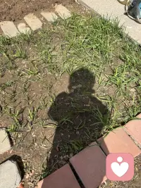 真实胜过完美，真实是一切的开始。什么叫做真实的活着？就是尊重你的感觉，追随你的心，而不是相信你的大脑，更不是按照人云亦云的活法去活。乔布斯在斯坦福大学有个著名的演讲，里面的一些名言就讲到要尊重你的感觉，追随你的心，而不是相信你的大脑。因为你以为头脑是自己的，但你的头脑往往充满了别人的教条，所谓的感觉就是你的情绪、情感、身体、体验，而这些体验其实都很普通，你的视觉、听觉、嗅觉、味觉、触觉这些各种各样的感觉，也包括你的状态都是由这些非常平常的东西组成，所以大家不要觉得尊重自己的感觉，包括做到真实是一件特别复杂的事，因为有很多人一直活在头脑里，一直按照别人的教条去活，所以他们确实不知道何为真实，其实真实就是这么简单，