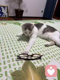 你见过哪个活得开心的人总是指责别人的，你见过哪个活得通透的人总是争个对错的，你见过哪一个内心富足的人总是在否定他人的幸福的人忙着感受生活，只有内在贫瘠的人才执着于否定和指责，开心的人不指责，是因为他忙着感受生活阳光，好他晒太阳饭菜香，他好好的吃饭，朋友来了他好好的聊天，他的注意力在享受什么，而不是在审判上通透的人不争对错，因为他知道对错是立场，不是真理，你觉得对的事换个角度就有可能是错的，你觉得错的事放到对方的处境里，有可能是唯一正确的路内心负责的人，他不否定他人，是因为他不需要通过贬低别人来抬高自己，他有自己的坐标系不用和别人对齐，所以他能欣赏别人的好，也能包容别人的不好。所以你可以看看自己，如果你最近总想指责他人，停下来问问自己，我是不是太久没有开心了，如果最近你总想争对错，你也可以停下来问问自己，我是不是太需要证明自己了？如果你最近总是在否定别人，你可以停下来问问自己，我是不是总觉得自己不够好，幸福的人没空指责你，他们忙着晒太阳，忙着吃饭，忙着爱忙着活，你也该忙起来