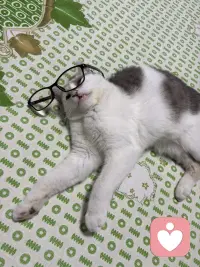 你见过哪个活得开心的人总是指责别人的，你见过哪个活得通透的人总是争个对错的，你见过哪一个内心富足的人总是在否定他人的幸福的人忙着感受生活，只有内在贫瘠的人才执着于否定和指责，开心的人不指责，是因为他忙着感受生活阳光，好他晒太阳饭菜香，他好好的吃饭，朋友来了他好好的聊天，他的注意力在享受什么，而不是在审判上通透的人不争对错，因为他知道对错是立场，不是真理，你觉得对的事换个角度就有可能是错的，你觉得错的事放到对方的处境里，有可能是唯一正确的路内心负责的人，他不否定他人，是因为他不需要通过贬低别人来抬高自己，他有自己的坐标系不用和别人对齐，所以他能欣赏别人的好，也能包容别人的不好。所以你可以看看自己，如果你最近总想指责他人，停下来问问自己，我是不是太久没有开心了，如果最近你总想争对错，你也可以停下来问问自己，我是不是太需要证明自己了？如果你最近总是在否定别人，你可以停下来问问自己，我是不是总觉得自己不够好，幸福的人没空指责你，他们忙着晒太阳，忙着吃饭，忙着爱忙着活，你也该忙起来