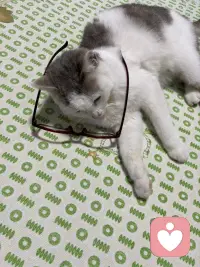 你见过哪个活得开心的人总是指责别人的，你见过哪个活得通透的人总是争个对错的，你见过哪一个内心富足的人总是在否定他人的幸福的人忙着感受生活，只有内在贫瘠的人才执着于否定和指责，开心的人不指责，是因为他忙着感受生活阳光，好他晒太阳饭菜香，他好好的吃饭，朋友来了他好好的聊天，他的注意力在享受什么，而不是在审判上通透的人不争对错，因为他知道对错是立场，不是真理，你觉得对的事换个角度就有可能是错的，你觉得错的事放到对方的处境里，有可能是唯一正确的路内心负责的人，他不否定他人，是因为他不需要通过贬低别人来抬高自己，他有自己的坐标系不用和别人对齐，所以他能欣赏别人的好，也能包容别人的不好。所以你可以看看自己，如果你最近总想指责他人，停下来问问自己，我是不是太久没有开心了，如果最近你总想争对错，你也可以停下来问问自己，我是不是太需要证明自己了？如果你最近总是在否定别人，你可以停下来问问自己，我是不是总觉得自己不够好，幸福的人没空指责你，他们忙着晒太阳，忙着吃饭，忙着爱忙着活，你也该忙起来