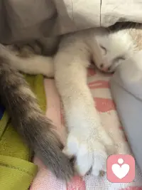 你好👋帖主，知道了你昨天经历让你心惊肉跳后，可见你是个内心纯粹干净的人，在这个社会上你也算因此获得了一次成长，当然成长都是有代价的。惊慌之后冷静下来思考你总能获得人生中交什么朋友、如果洁身自好等方面的经验，感恩生命中可能遇到的人、事、物，允许发生在自己身上的一切事情，让自己去强大，追逐光的方向前行，你就心稳了、路顺了，好运就来了。配图
