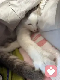 你好👋帖主，知道了你昨天经历让你心惊肉跳后，可见你是个内心纯粹干净的人，在这个社会上你也算因此获得了一次成长，当然成长都是有代价的。惊慌之后冷静下来思考你总能获得人生中交什么朋友、如果洁身自好等方面的经验，感恩生命中可能遇到的人、事、物，允许发生在自己身上的一切事情，让自己去强大，追逐光的方向前行，你就心稳了、路顺了，好运就来了。配图