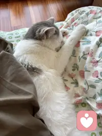 你好👋帖主，知道了你昨天经历让你心惊肉跳后，可见你是个内心纯粹干净的人，在这个社会上你也算因此获得了一次成长，当然成长都是有代价的。惊慌之后冷静下来思考你总能获得人生中交什么朋友、如果洁身自好等方面的经验，感恩生命中可能遇到的人、事、物，允许发生在自己身上的一切事情，让自己去强大，追逐光的方向前行，你就心稳了、路顺了，好运就来了。配图