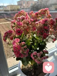 你好👋亲爱的孩子👶这个精神上的疾病吃药是需要正确的去执行医生的治疗方案，但更需要进行咨询疗愈跟进，这叫两管齐下，提升认知和内力，你才能找到身体的感觉，恢复身心平衡的状态。如果你信任我，那请找到给到你专业的有温度的有力量的支持配图