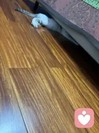 你想要自己的运气慢慢的变好，有一条规矩，我们一定要记住你站在哪里你就别总嫌弃哪里不好，你住什么样的房子，你就别天天你去挑房子的毛病，你跟谁在一起，你就要学会多看对方的好，你做什么工作，你就先把眼前这份工作这份事情你当回事儿，晴天来了，你要学会说塞阳光真好，下雨你就要学会说塞空气终于透了，哪怕只是喝一杯水，你试着告诉自己今天这口水是真的好甜哪，就人的这一生。你说到底都是在不断的回应自己嘴里说出去的话了，你嘴里说出去什么话，你吸引过来的就是什么样的能量。你嘴上总是嫌弃你心里就会越来越堵，你嘴上总是赞你的路反而会越走越顺了，不是因为你说了两句好听的话，天它就立马偏爱你，而是因为你愿意往好的地方去看那些真正好的东西才更容易靠近你。当你开始习惯性的赞美生活，接纳眼前，珍惜拥有很多你以为是运气的东西，那些美好的东西就开始悄悄地向你靠近了。配图