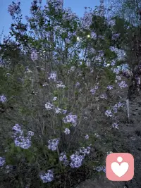 这辈子最通透的活法，其实就藏在两句话里，好好把自己当回事儿，你的真实感受永远比那些条条框框的道理更重要，别太把别人放在心上，属于别人的人生课题，就该让他自己去背负人这辈子最通透的活法。