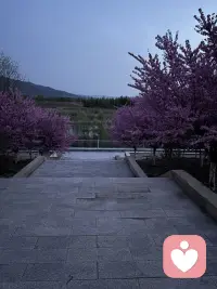 这辈子最通透的活法，其实就藏在两句话里，好好把自己当回事儿，你的真实感受永远比那些条条框框的道理更重要，别太把别人放在心上，属于别人的人生课题，就该让他自己去背负人这辈子最通透的活法。