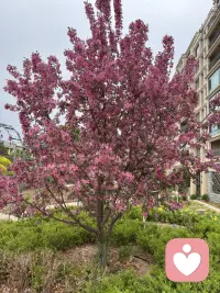 的一句话叫允许一切发生它来自海灵格的一首诗，叫《我允许》就是你要允许自己走错路，你要允许自己看错人，你要允许你爱的人不爱你，你要允许你的工作为难你，你要允许你付出了很多之后并没有结果，你要允许今天开心，也要允许今天不开心，允许一切的发生接纳一切的发生你就会无敌了。