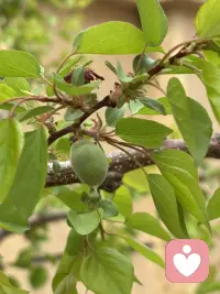 的一句话叫允许一切发生它来自海灵格的一首诗，叫《我允许》就是你要允许自己走错路，你要允许自己看错人，你要允许你爱的人不爱你，你要允许你的工作为难你，你要允许你付出了很多之后并没有结果，你要允许今天开心，也要允许今天不开心，允许一切的发生接纳一切的发生你就会无敌了。