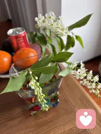 的一句话叫允许一切发生它来自海灵格的一首诗，叫《我允许》就是你要允许自己走错路，你要允许自己看错人，你要允许你爱的人不爱你，你要允许你的工作为难你，你要允许你付出了很多之后并没有结果，你要允许今天开心，也要允许今天不开心，允许一切的发生接纳一切的发生你就会无敌了。