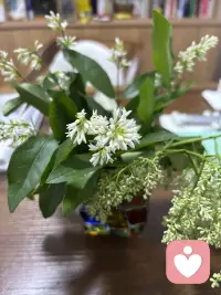 这两天好累呀！搬家带来的烦恼实在不少呢！一直把这事往后拖，但心里明镜似的，拖过十一，拖不过十五呀！在这个老房子里度过了21年的时光，总是有些不舍在吧，特别有一种冲动，那就是在老房子里照张照片，然而老公的一句话让我断了念想。算了，岁月无论是蹉跎，还是静好都是生命的馈赠呢，接纳自己内心的留恋，更珍惜当下的生活吧。