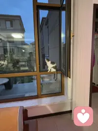 缘圆这两天强烈的想逃，瞧瞧这决心，我真是不知道让它在外面流浪好？还是在家有吃有喝有屋又有窝好？唉，许多事情都是这样，总是不可回避地展示事物的两面性，哪来的十全十美呢？