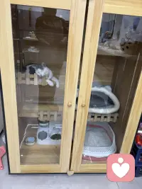 缘圆这两天强烈的想逃，瞧瞧这决心，我真是不知道让它在外面流浪好？还是在家有吃有喝有屋又有窝好？唉，许多事情都是这样，总是不可回避地展示事物的两面性，哪来的十全十美呢？