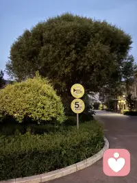 腾出时间来陪老公在小区走走，是不错的体验，我这个特别宅，很少留哒，踢球例外。这不昨天晚上吃饭比较晚，所以消化一下，于是终有做个闲人了。