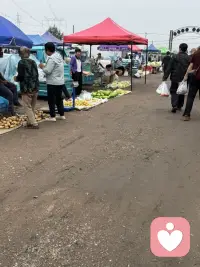赶集了，赶集了。我住在城乡交汇处，夏季的集市各种应崇的水果好多呀，赶集的人真不好少。最爱吃杏了，各种品种不同的杏好多呀。看得人直流口水。