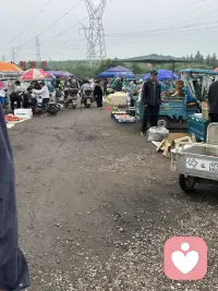 赶集了，赶集了。我住在城乡交汇处，夏季的集市各种应崇的水果好多呀，赶集的人真不好少。最爱吃杏了，各种品种不同的杏好多呀。看得人直流口水。