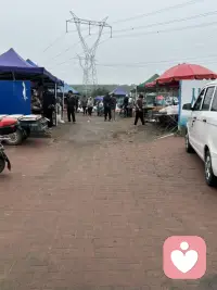 赶集了，赶集了。我住在城乡交汇处，夏季的集市各种应崇的水果好多呀，赶集的人真不好少。最爱吃杏了，各种品种不同的杏好多呀。看得人直流口水。