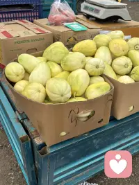 赶集了，赶集了。我住在城乡交汇处，夏季的集市各种应崇的水果好多呀，赶集的人真不好少。最爱吃杏了，各种品种不同的杏好多呀。看得人直流口水。