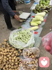 赶集了，赶集了。我住在城乡交汇处，夏季的集市各种应崇的水果好多呀，赶集的人真不好少。最爱吃杏了，各种品种不同的杏好多呀。看得人直流口水。