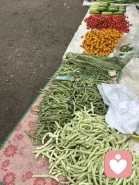 赶集了，赶集了。我住在城乡交汇处，夏季的集市各种应崇的水果好多呀，赶集的人真不好少。最爱吃杏了，各种品种不同的杏好多呀。看得人直流口水。