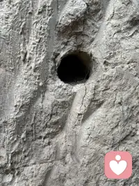 每一个鲜活的生命都值得被爱和尊重！这是小妹大院后面上坡的一个圆形洞，不细瞧也没什么特别的，就在我经过那里时一只鸟飞出来了，这引起了我的奇怪，仔细一看呀那里还有两只蛋呢！好可爱呀，我没敢久留迅速离开，在心里说：“对不起，我打搅你了。”每一个可爱的生命都值得尊重和爱。