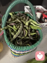 生活就是在平常中享受一切来到你生命里的喜怒哀乐，酸甜苦辣，冷暖自知。配图