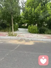 生活就是在平常中享受一切来到你生命里的喜怒哀乐，酸甜苦辣，冷暖自知。配图
