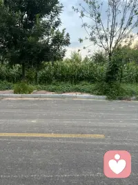 生活就是在平常中享受一切来到你生命里的喜怒哀乐，酸甜苦辣，冷暖自知。配图