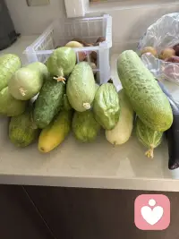 生活就是在平常中享受一切来到你生命里的喜怒哀乐，酸甜苦辣，冷暖自知。配图