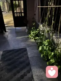 夜晚在小院里冲冲地面玩会水，好爽啊，突然找到小时候玩水的感觉呢！（我这是永远长不大了）配图