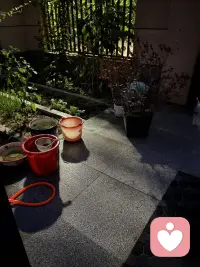 夜晚在小院里冲冲地面玩会水，好爽啊，突然找到小时候玩水的感觉呢！（我这是永远长不大了）配图