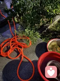 夜晚在小院里冲冲地面玩会水，好爽啊，突然找到小时候玩水的感觉呢！（我这是永远长不大了）配图