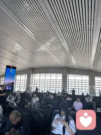 聚会、出行忙着昵！配图