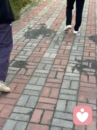 闲暇时间里在温泉附近散步走走，资源好丰富，可惜利用得不够好，若大的停车场早已杂草丛生，温泉城现可使用的地方仅占一半，那些一稀可见的部分仍然显示曾经的辉煌，很期待更加的完善，必定这里的汤是无以伦比的好呀！